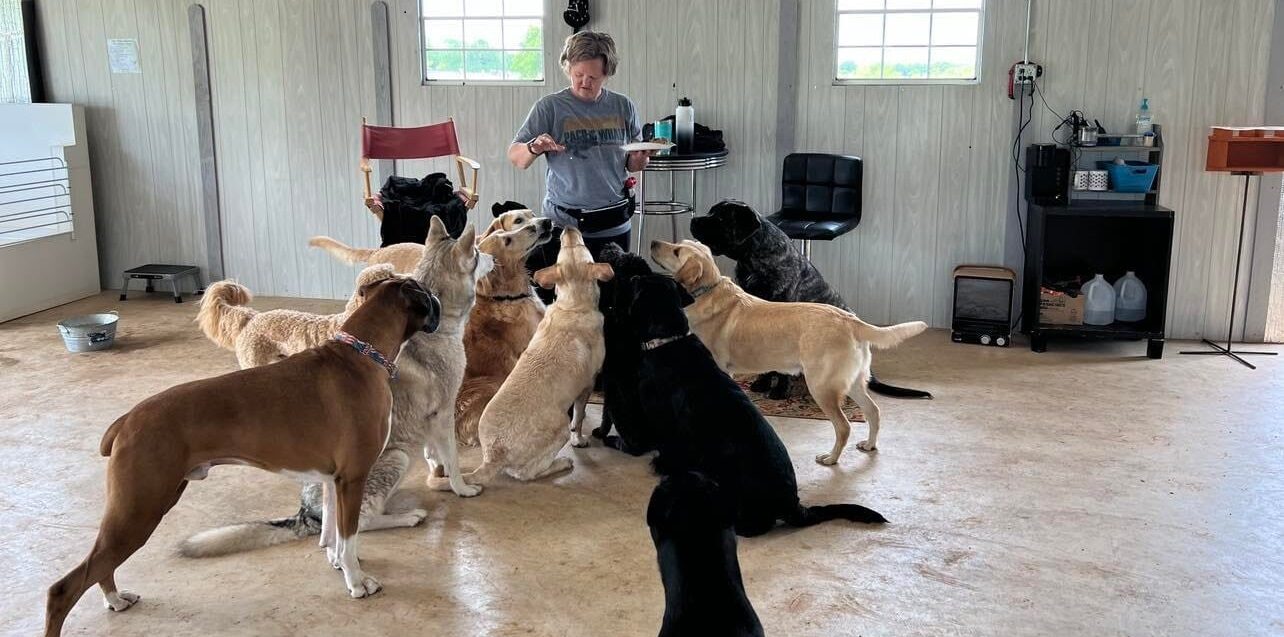 A dog working with a trainer at Puppy Playground